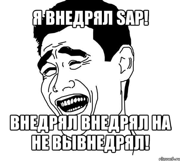 я внедрял sap! внедрял внедрял на не вывнедрял!