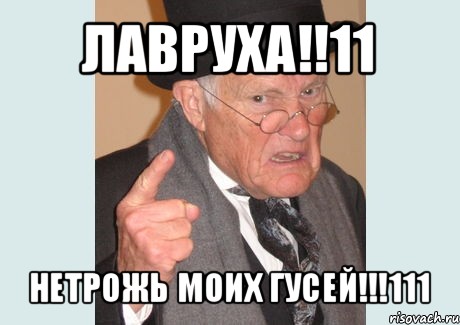 лавруха!!11 нетрожь моих гусей!!!111