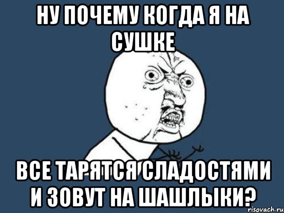 ну почему когда я на сушке все тарятся сладостями и зовут на шашлыки?, Мем Ну почему