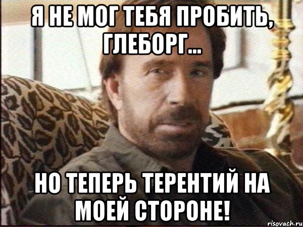 я не мог тебя пробить, глеборг... но теперь терентий на моей стороне!, Мем чак норрис