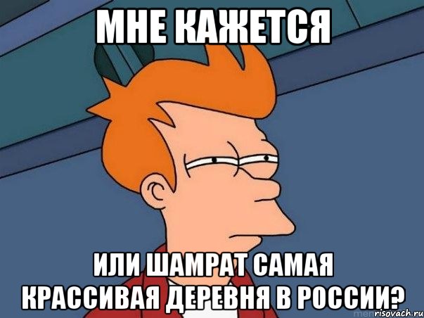 мне кажется или шамрат самая крассивая деревня в россии?, Мем  Фрай (мне кажется или)