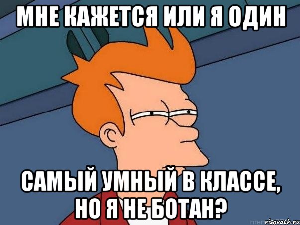 мне кажется или я один самый умный в классе, но я не ботан?, Мем  Фрай (мне кажется или)