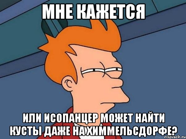 мне кажется или исопанцер может найти кусты даже на химмельсдорфе?, Мем  Фрай (мне кажется или)