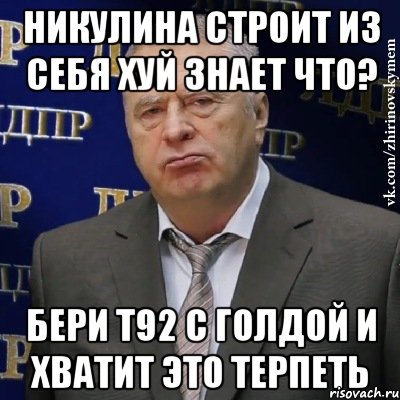 никулина строит из себя хуй знает что? бери т92 с голдой и хватит это терпеть, Мем Хватит это терпеть (Жириновский)