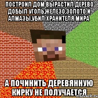 построил дом вырастил дерево добыл уголь,железо,золото и алмазы,убил хранителя мира а починить деревянную кирку не получается