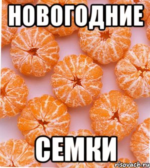 новогодние семки