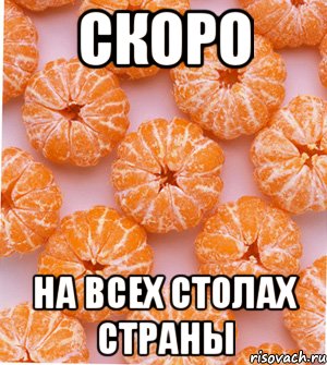 скоро на всех столах страны