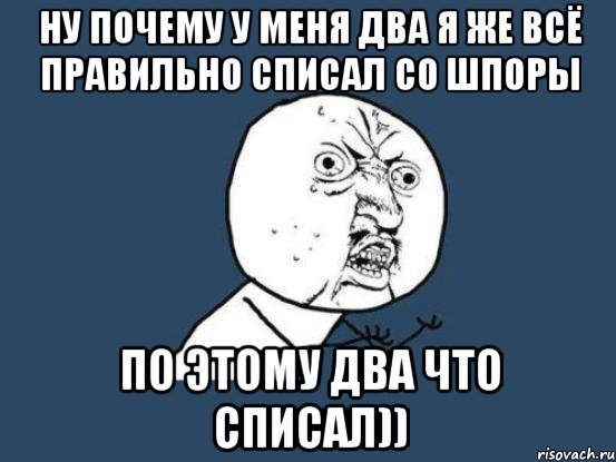 ну почему у меня два я же всё правильно списал со шпоры по этому два что списал)), Мем Ну почему