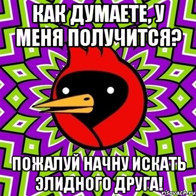 как думаете, у меня получится? пожалуй начну искать элидного друга!, Мем Омская птица