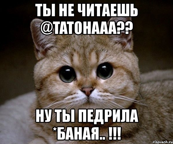 ты не читаешь @tatohaaa?? ну ты педрила *баная.. !!!