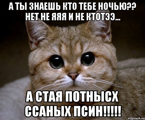 а ты знаешь кто тебе ночью?? нет не яяя и не ктотээ... а стая потнысх ссаных псин!!!, Мем Пидрила Ебаная