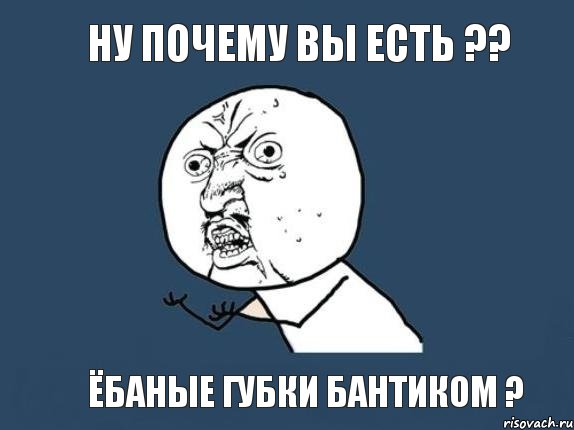 Ну почему вы есть ?? Ёбаные губки бантиком ?, Мем  почему мем