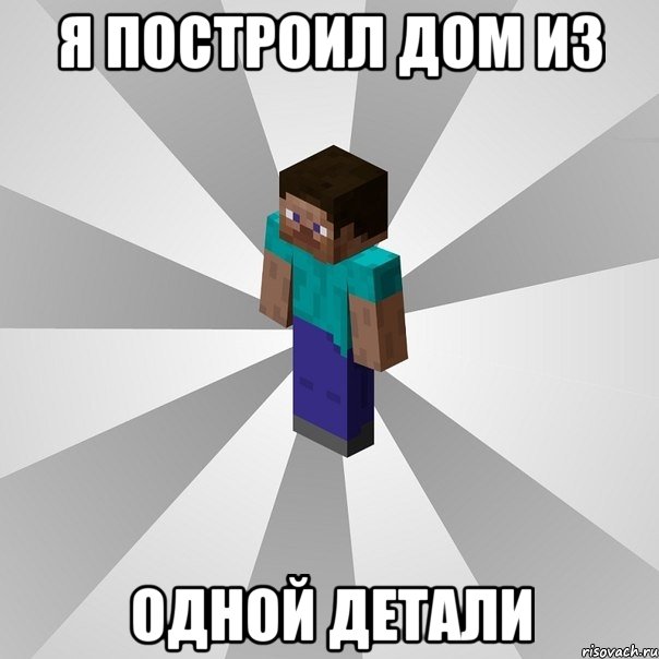 я построил дом из одной детали, Мем Типичный игрок Minecraft