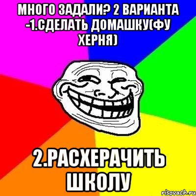 много задали? 2 варианта -1.сделать домашку(фу херня) 2.расхерачить школу