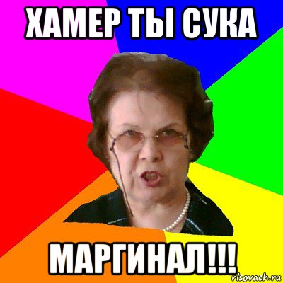 хамер ты сука маргинал!!!, Мем Типичная училка