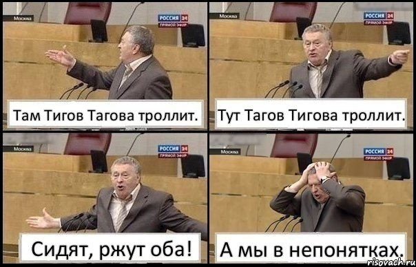 Там Тигов Тагова троллит. Тут Тагов Тигова троллит. Сидят, ржут оба! А мы в непонятках.