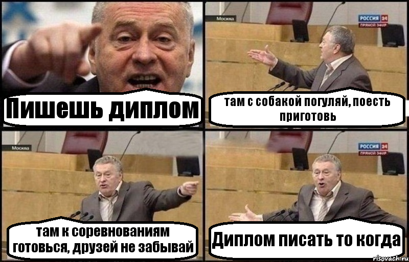 Пишешь диплом там с собакой погуляй, поесть приготовь там к соревнованиям готовься, друзей не забывай Диплом писать то когда, Комикс Жириновский