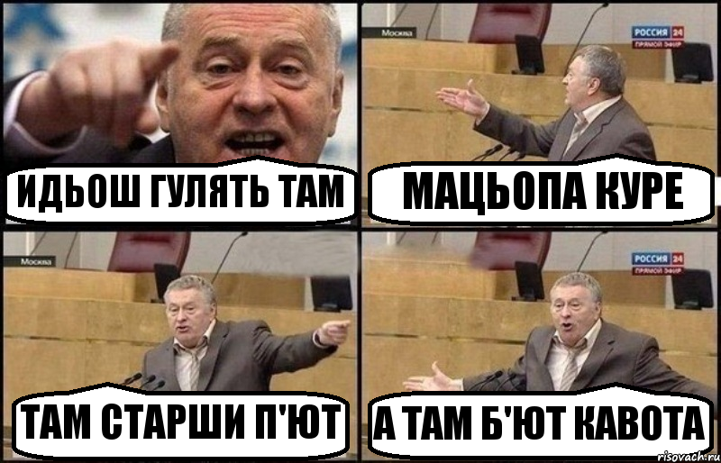 ИДЬОШ ГУЛЯТЬ ТАМ МАЦЬОПА КУРЕ ТАМ СТАРШИ П'ЮТ А ТАМ Б'ЮТ КАВОТА, Комикс Жириновский