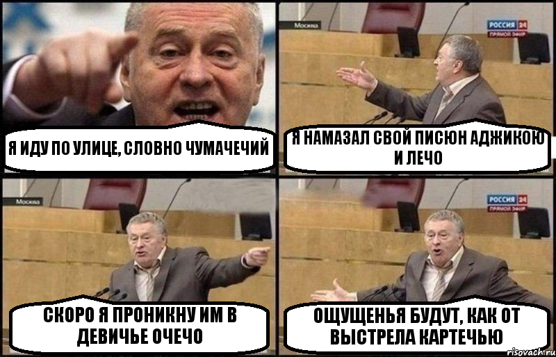 Я ИДУ ПО УЛИЦЕ, СЛОВНО ЧУМАЧЕЧИЙ Я НАМАЗАЛ СВОЙ ПИСЮН АДЖИКОЮ И ЛЕЧО СКОРО Я ПРОНИКНУ ИМ В ДЕВИЧЬЕ ОЧЕЧО ОЩУЩЕНЬЯ БУДУТ, КАК ОТ ВЫСТРЕЛА КАРТЕЧЬЮ, Комикс Жириновский