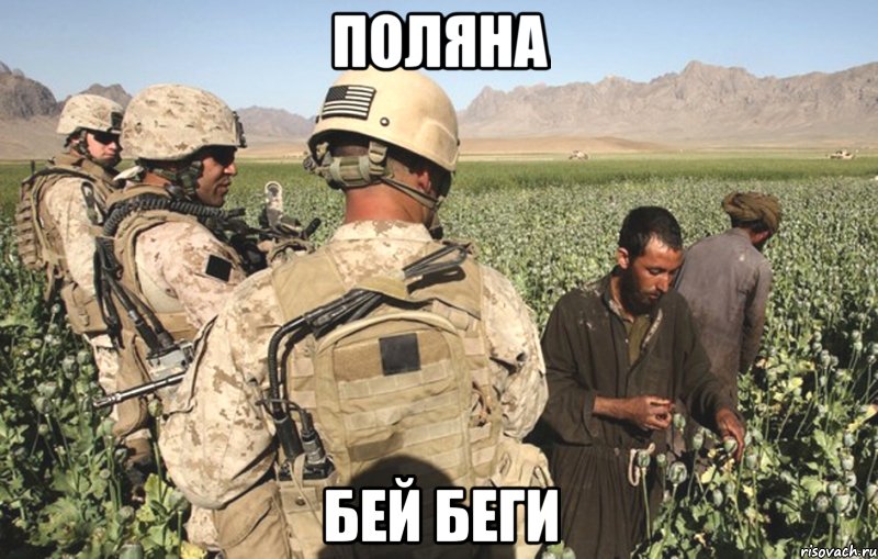 поляна бей беги