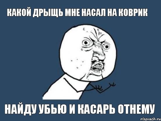 какой дрыщь мне насал на коврик найду убью и касарь отнему, Мем Ну почему