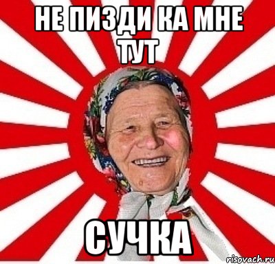 не пизди ка мне тут сучка, Мем  бабуля