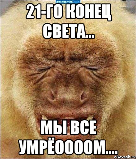 21-го конец света... мы все умрёоооом...., Мем бибизяна