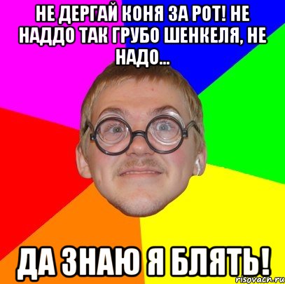 не дергай коня за рот! не наддо так грубо шенкеля, не надо... да знаю я блять!, Мем Типичный ботан