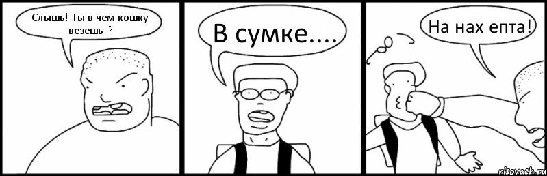 Слышь! Ты в чем кошку везешь!? В сумке.... На нах епта!, Комикс Быдло и школьник