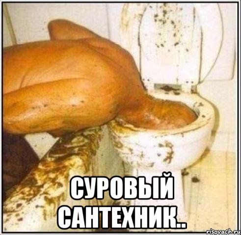  суровый сантехник..