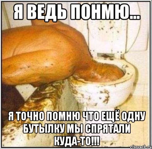 я ведь понмю... я точно помню что ещё одну бутылку мы спрятали куда-то!!!