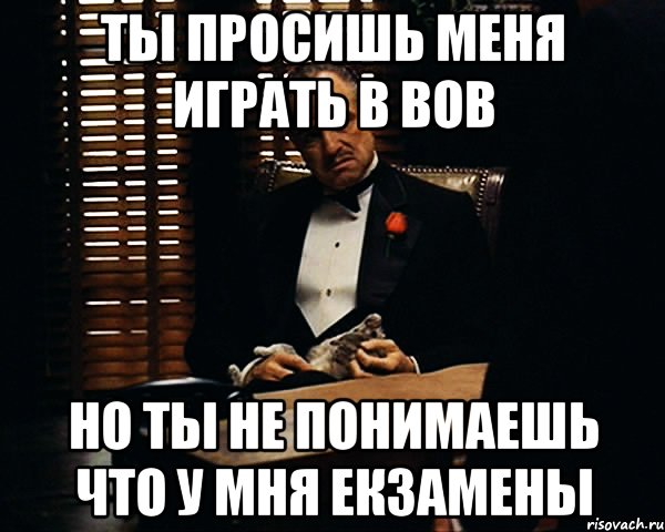 ты просишь меня играть в вов но ты не понимаешь что у мня екзамены