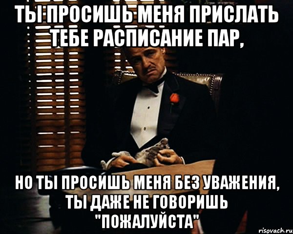 ты просишь меня прислать тебе расписание пар, но ты просишь меня без уважения, ты даже не говоришь "пожалуйста"