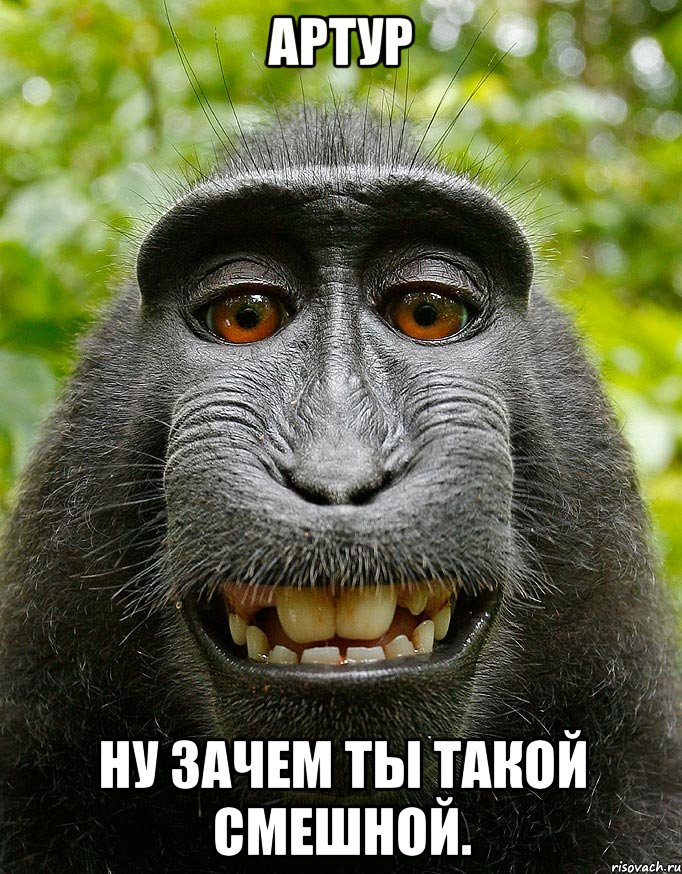 артур ну зачем ты такой смешной.