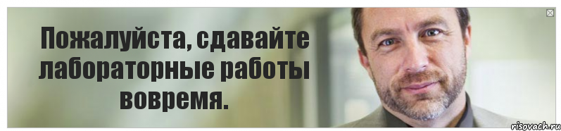 Пожалуйста, сдавайте лабораторные работы вовремя., Комикс Джимми