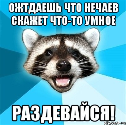 ожтдаешь что нечаев скажет что-то умное раздевайся!, Мем Енот-Каламбурист