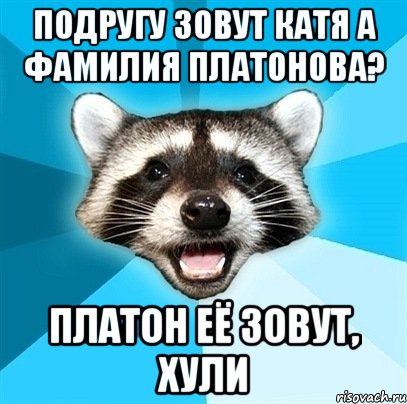 подругу зовут катя а фамилия платонова? платон её зовут, хули, Мем Енот-Каламбурист