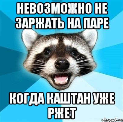 невозможно не заржать на паре когда каштан уже ржет, Мем Енот-Каламбурист