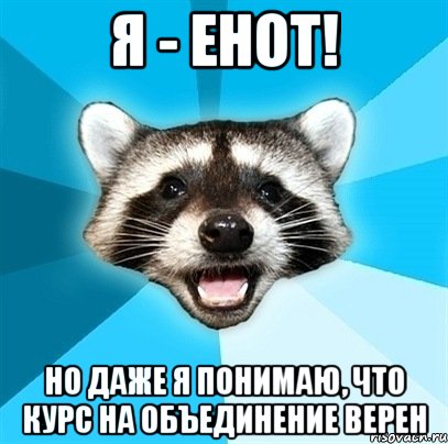 я - енот! но даже я понимаю, что курс на объединение верен, Мем Енот-Каламбурист