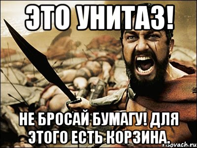 это унитаз! не бросай бумагу! для этого есть корзина., Мем Это Спарта