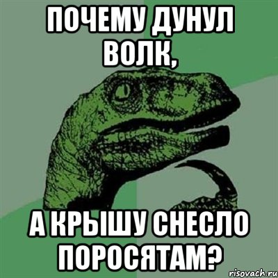 почему дунул волк, а крышу снесло поросятам?, Мем Филосораптор