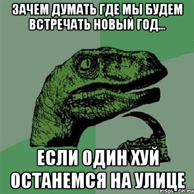 зачем думать где мы будем встречать новый год... если один хуй останемся на улице, Мем Филосораптор