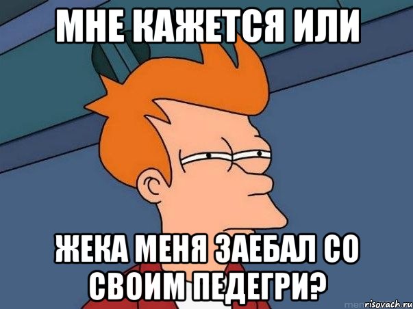 мне кажется или жека меня заебал со своим педегри?, Мем  Фрай (мне кажется или)