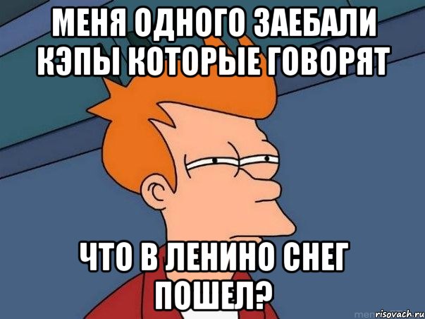 меня одного заебали кэпы которые говорят что в ленино снег пошел?, Мем  Фрай (мне кажется или)