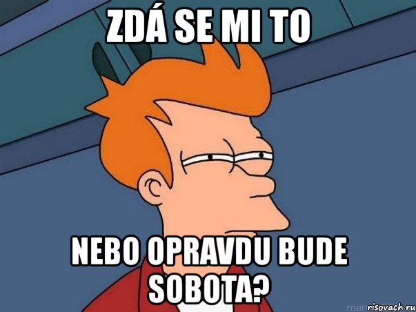 zdá se mi to nebo opravdu bude sobota?, Мем  Фрай (мне кажется или)