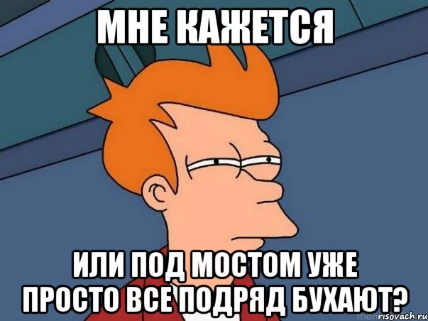 мне кажется или под мостом уже просто все подряд бухают?, Мем  Фрай (мне кажется или)