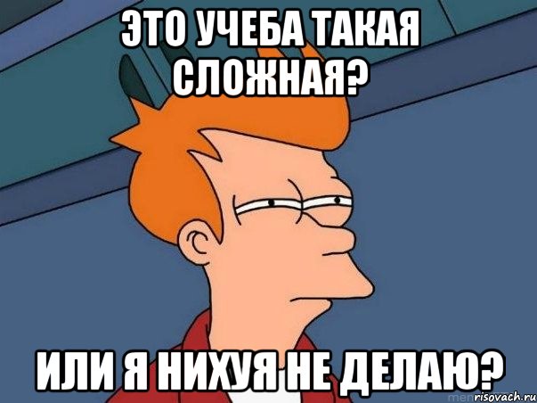 это учеба такая сложная? или я нихуя не делаю?, Мем  Фрай (мне кажется или)