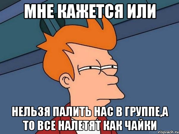 мне кажется или нельзя палить нас в группе,а то все налетят как чайки, Мем  Фрай (мне кажется или)