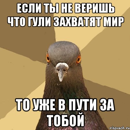 если ты не веришь что гули захватят мир то уже в пути за тобой, Мем голубь