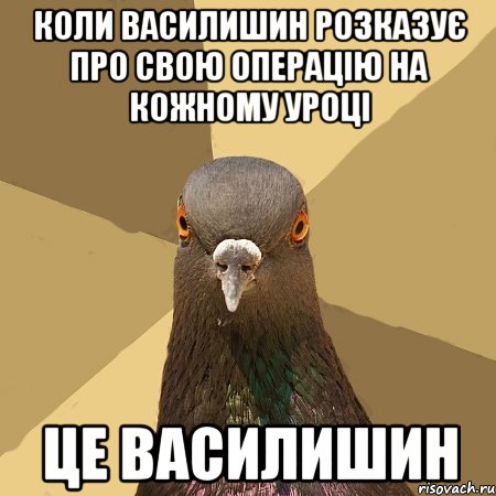 коли василишин розказує про свою операцію на кожному уроці це василишин, Мем голубь